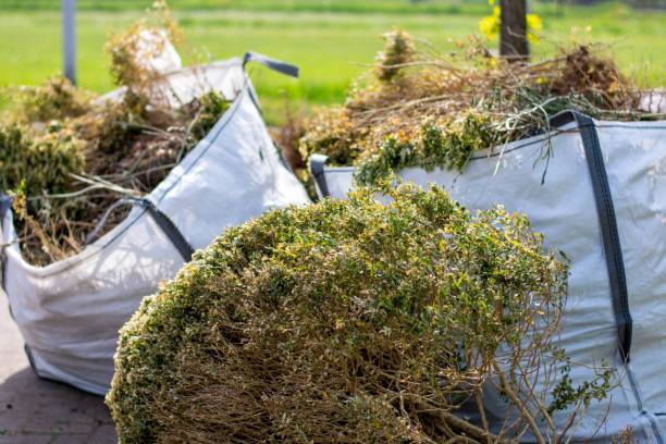 Best Dumpster Rental Services  in Park Center, CO